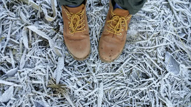 Wolverine 1000 Mile Boot